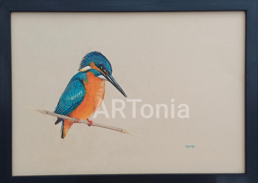 Ijsvogel Pastel